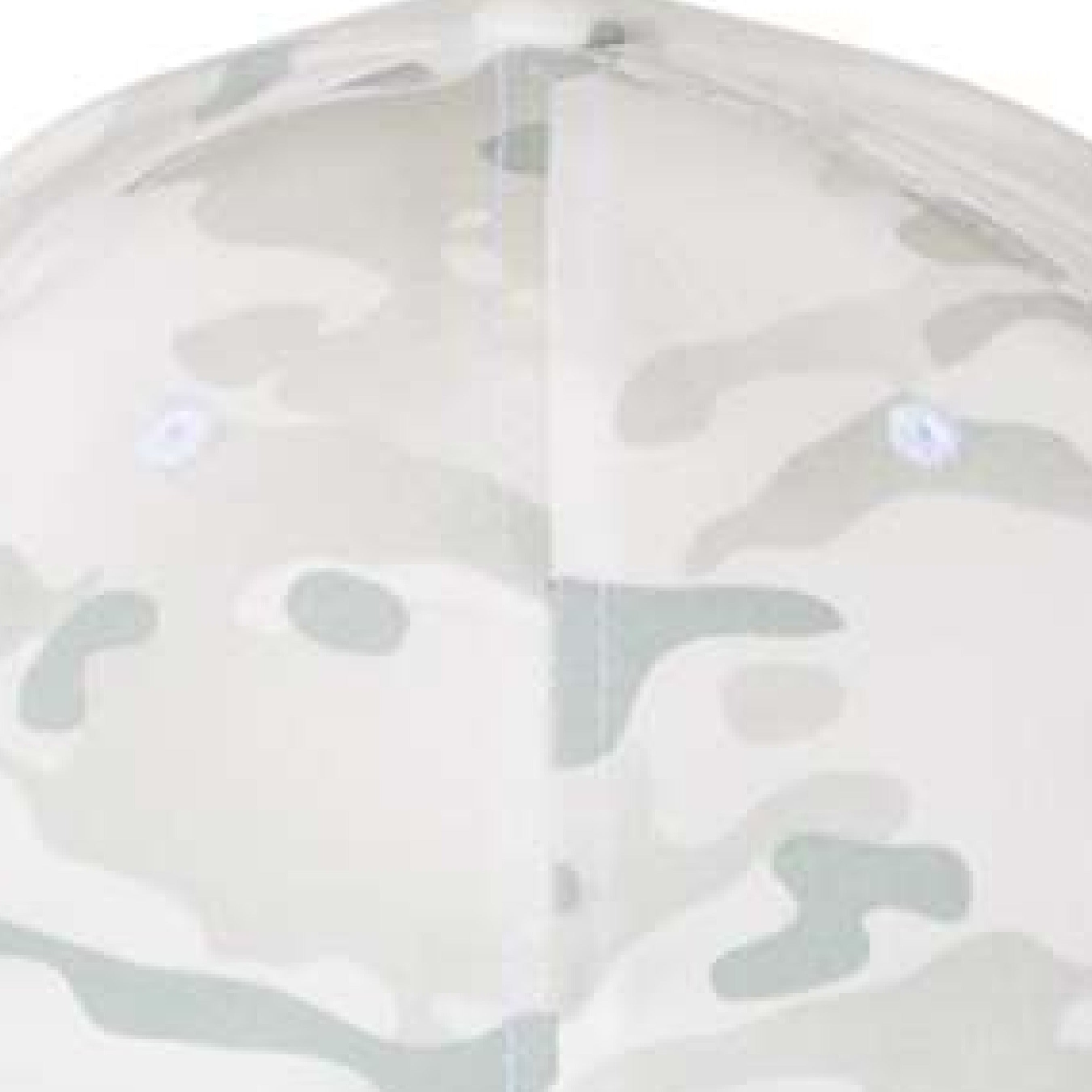 Multicam Alpine - BACK